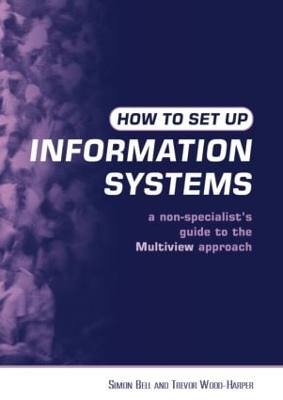How to Set Up Information Systems book