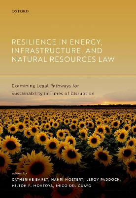 Resilience in Energy, Infrastructure, and Natural Resources Law: Examining Legal Pathways for Sustainability in Times of Disruption book