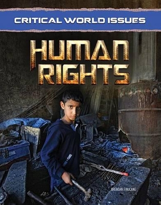 Human Rights book