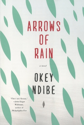 Arrows Of Rain by Okey Ndibe