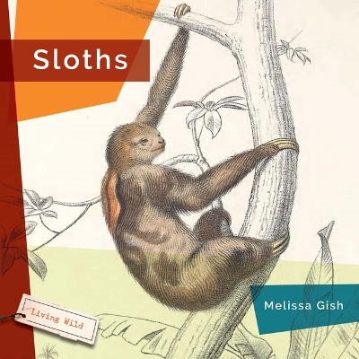 Sloths book