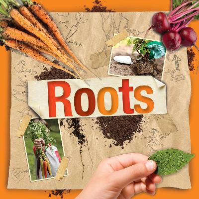 Roots by Steffi Cavell-Clarke