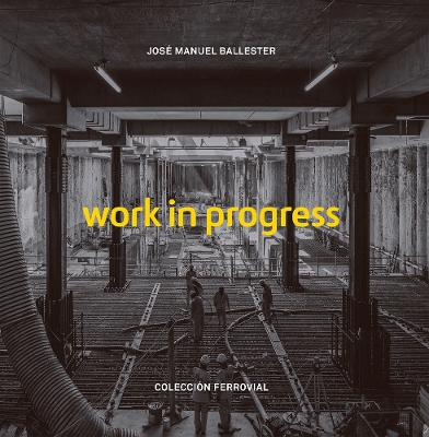 Work in Progress book