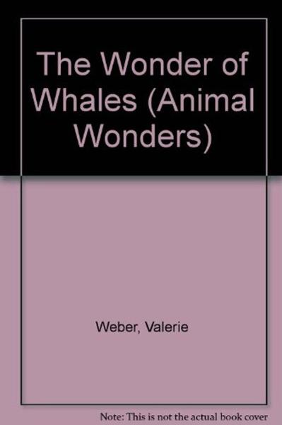 Wonder of Whales book