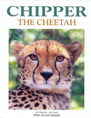 Chipper the Cheetah book