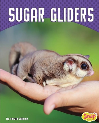 Sugar Gliders book