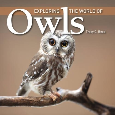 Exploring the World of Owls book