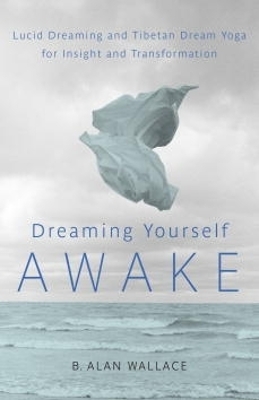 Dreaming Yourself Awake book