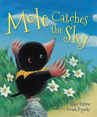 Mole Catches the Sky by Ellen Tarlow