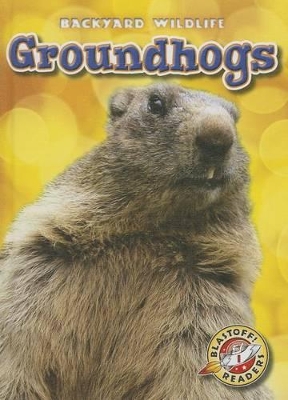 Groundhogs book