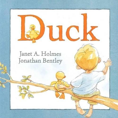 Duck: Little Hare Books by Janet A. Holmes