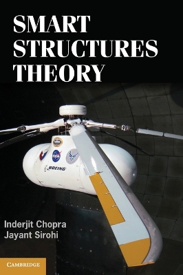 Smart Structures Theory book