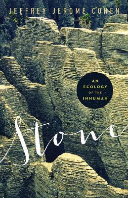 Stone by Jeffrey Jerome Cohen