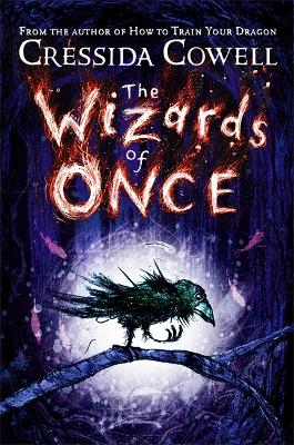 Wizards of Once book