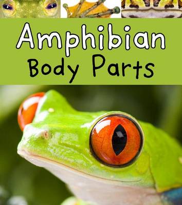 Amphibian Body Parts by Clare Lewis