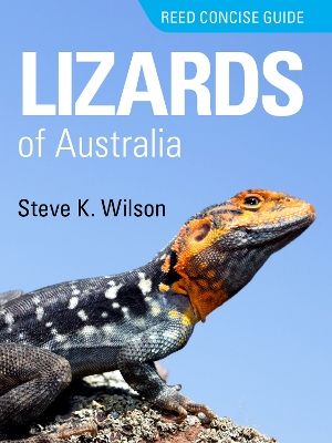 Reed Concise Guide Lizards of Australia: Reed Concise Guide book