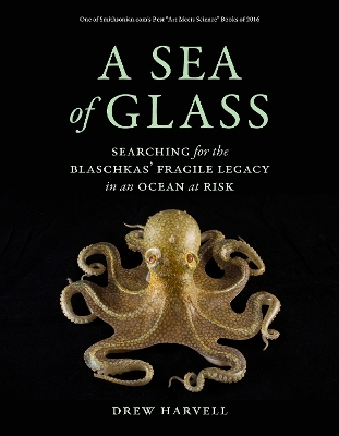 A Sea of Glass: Searching for the Blaschkas' Fragile Legacy in an Ocean at Risk book