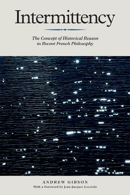 Intermittency book