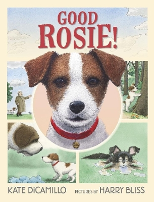 Good Rosie! book