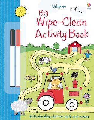 Big Wipe Clean Activity Book book