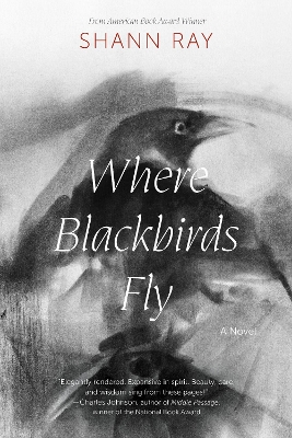 Where Blackbirds Fly: A Novel book