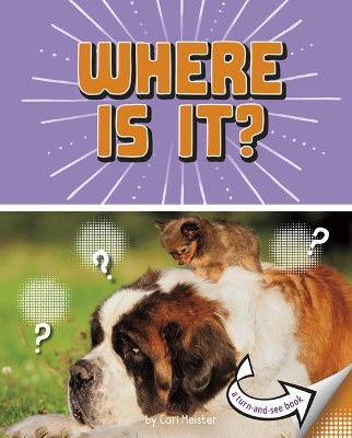 Where Is It: A Turn-And-See Book book