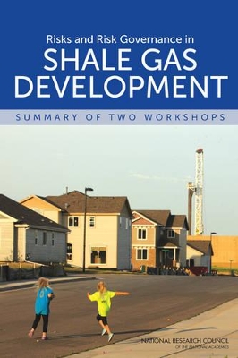 Risks and Risk Governance in Shale Gas Development book