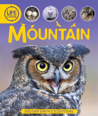 Life Cycles: Mountain book