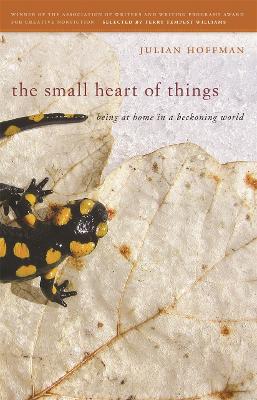 Small Heart of Things book