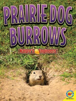 Prairie Dog Burrows book
