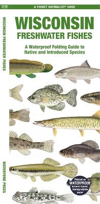 Wisconsin Freshwater Fishes: A Waterproof Folding Guide to Native and Introduced Species book