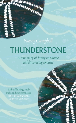 Thunderstone: A True Story of Losing One Home and Finding Another book