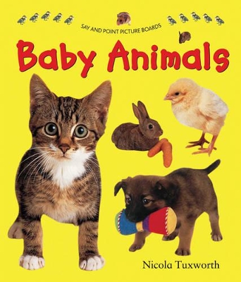 Say and Point Picture Boards: Baby Animals book
