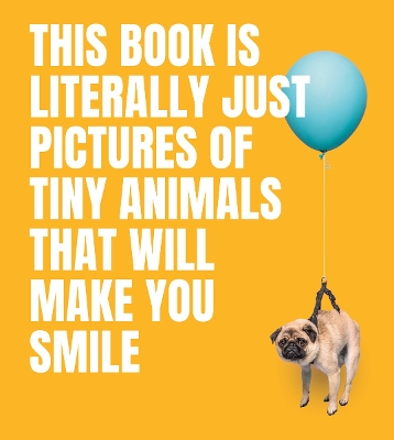 This Book Is Literally Just Pictures of Tiny Animals That Will Make You Smile book
