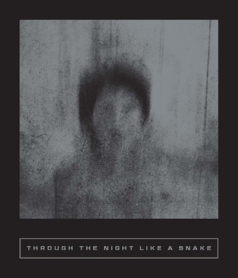 Through the Night Like a Snake: Latin American Horror Stories book