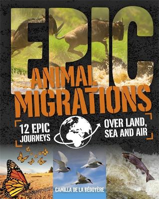 Epic!: Animal Migrations by Camilla De La Bedoyere