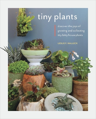 Tiny Plants: Discover the joys of growing and collecting itty-bitty houseplants book
