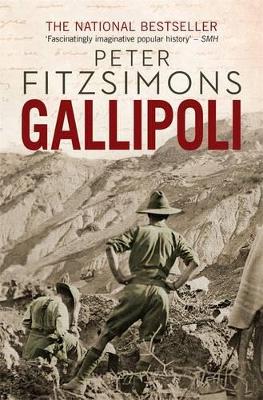 Gallipoli book