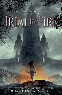 Trial by Fire book