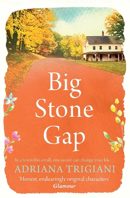 Big Stone Gap book