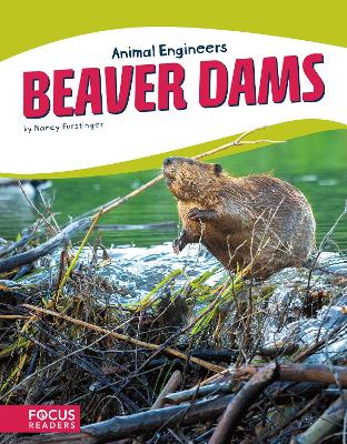 Beaver Dams book