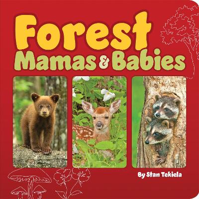 Forest Mamas and Babies book