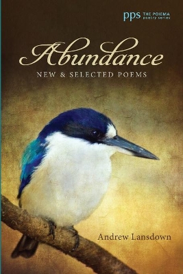 Abundance book