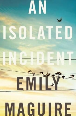 Isolated Incident book