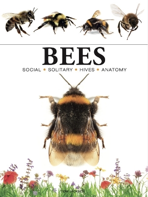 Bees book