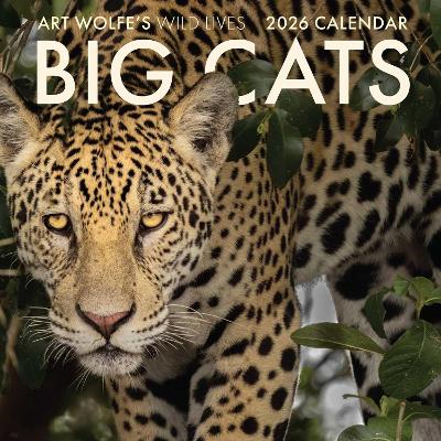 2026 Big Cats Wall Calendar: Art Wolfe's Wild Lives book
