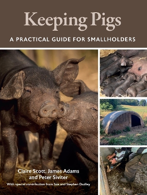 Keeping Pigs: A Practical Guide for Smallholders by Claire Scott