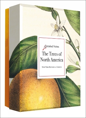 The Trees of North America Detailed Notecard Set book