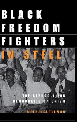 Black Freedom Fighters in Steel book