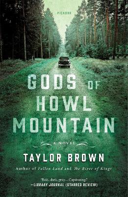 Gods of Howl Mountain: A Novel book